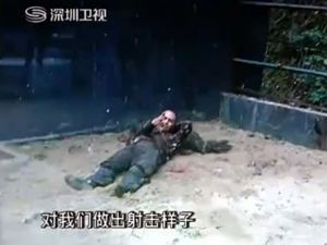 在中国动物园吸毒者咬死鸵鸟